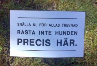 Definitionen på "att be om det"